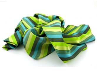 Scarf - 25x160 - polyester - multicolour green